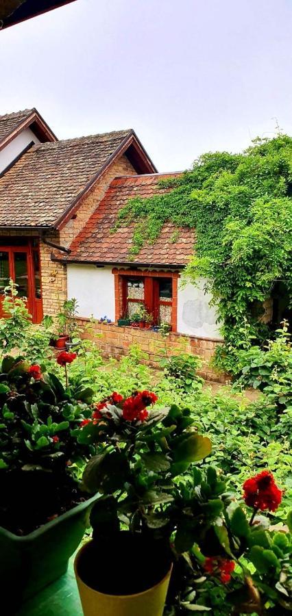 Ilkicev Kucerak Apartman Vrdnik Extérieur photo